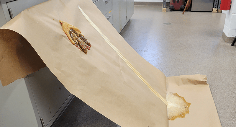A long piece of brown paper at a 45 degree angle show two foams discharged near the top of the paper to see the flow of the foam down the angle.