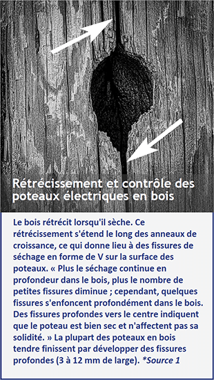 A woodpecker hole in a utility pole showing cracks going up and down from the center of the hole. Below the image, the text says, "Shrinkage and checking in Wood Utility Poles: Wood shrinks as it dries. This shrinkage runs along the growth rings resulting in V-shaped seasoning checks on the surface of the poles. “As drying continues deeper into the wood, the number of small checks decreases; however, a few checks drive deep into the wood. Deep checks to the center indicate a well- seasoned pole and do not adversely affect strength.” Most softwood poles eventually develop deep checks (1/8 to 1/2 – inch wide). Source 1