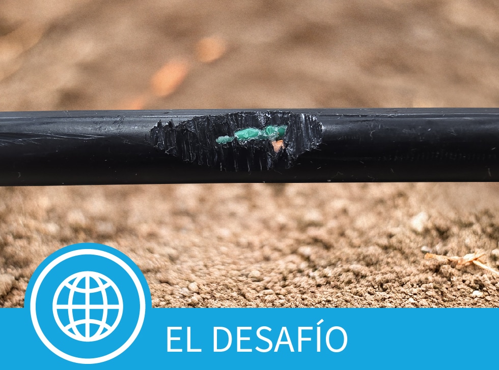 Una chaqueta de cable de fibra dañada que muestra cables de fibra óptica expuestos sobre un fondo de tierra. En la parte inferior de la imagen se leen las palabras,