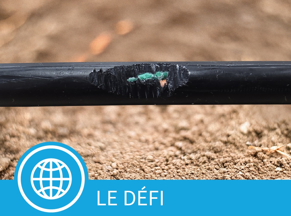 Un câble à fibre optique endommagé avec une gaine de câble exposant les câbles à fibre optique sur un fond de terre. En bas de l'image, on peut lire les mots 