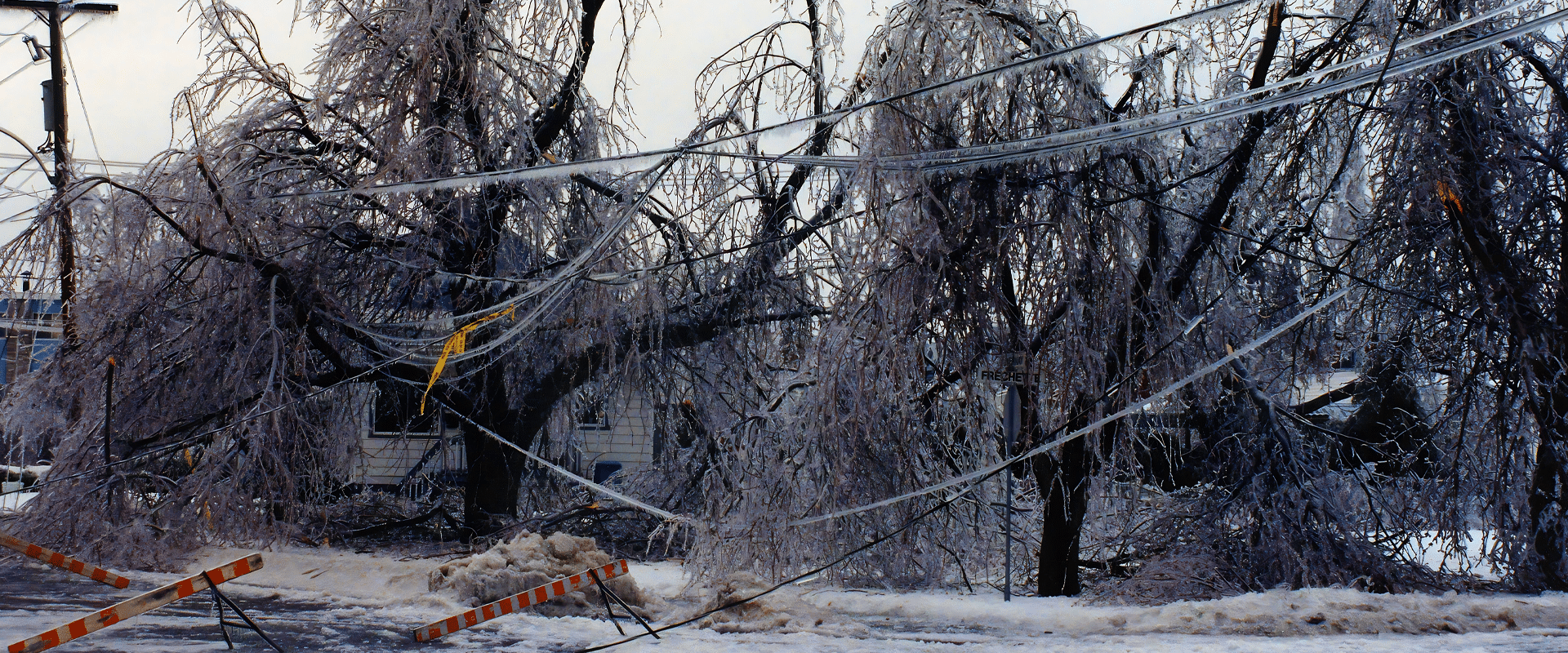 Downed power lines after an ice storm. The trees in the background still have ice on the branches.