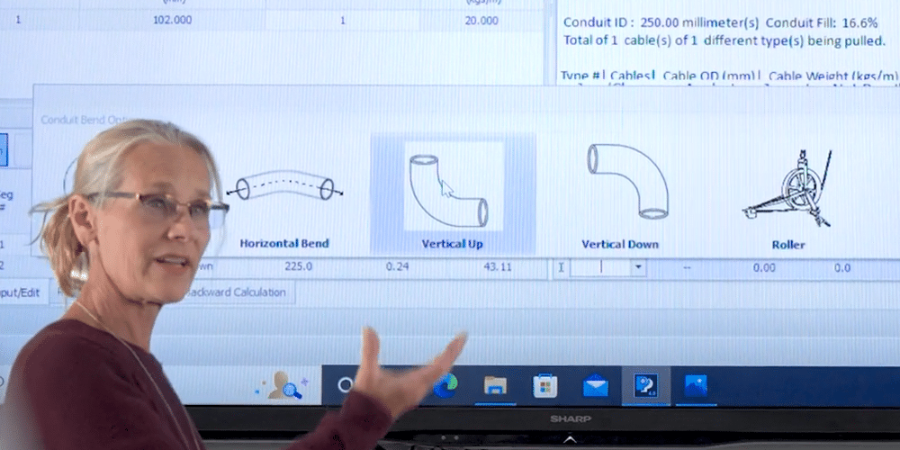 Una donna bionda con gli occhiali è in piedi davanti a un grande schermo televisivo e fa una presentazione del software visualizzato sullo schermo.